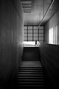 THE SHADOW PLAY